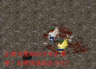 土城专属BOSS分布在哪里?如何快速找到它们? 土城专属BOSS分布在哪里?如何快速找到它们?