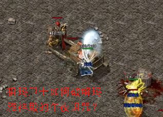 祖玛卫士如何破解玛雅神殿的午夜诅咒? 祖玛卫士如何破解玛雅神殿的午夜诅咒?