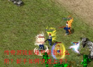 传奇游戏新服登录器怎么用?新手如何快速上手? 传奇游戏新服登录器怎么用?新手如何快速上手?