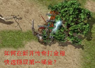 如何在新开传奇打金服快速赚取第一桶金? 如何在新开传奇打金服快速赚取第一桶金?