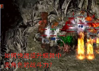 如何快速提升蝶舞中变角色的战斗力? 如何快速提升蝶舞中变角色的战斗力?