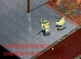如何快速提升新服3000传奇角色等级? 如何快速提升新服3000传奇角色等级?