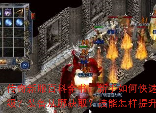 传奇新服百科全书:新手如何快速升级?装备从哪获取?技能怎样提升? 传奇新服百科全书:新手如何快速升级?装备从哪获取?技能怎样提升?