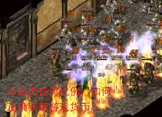 本服无任何比例,如何正确获取游戏货币? 本服无任何比例,如何正确获取游戏货币?