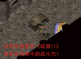 如何快速提升《战狼II》单职业传奇中的战斗力? 如何快速提升《战狼II》单职业传奇中的战斗力?