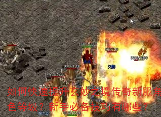如何快速提升玄妙之境传奇新服角色等级?新手必备技巧有哪些? 如何快速提升玄妙之境传奇新服角色等级?新手必备技巧有哪些?