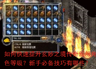 如何快速提升玄妙之境传奇新服角色等级?新手必备技巧有哪些? 如何快速提升玄妙之境传奇新服角色等级?新手必备技巧有哪些?
