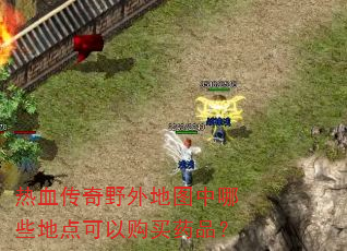热血传奇野外地图中哪些地点可以购买药品? 热血传奇野外地图中哪些地点可以购买药品?
