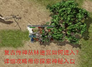 复古传神丛林迷宫如何进入?详细攻略带你探索神秘入口 复古传神丛林迷宫如何进入?详细攻略带你探索神秘入口