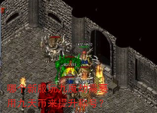 哪个新服玩九魔劫需要用九天币来提升称号? 哪个新服玩九魔劫需要用九天币来提升称号?