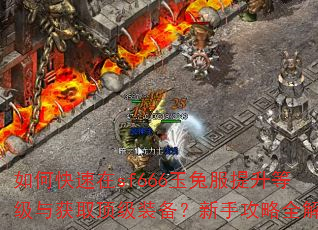 如何快速在sf666玉兔服提升等级与获取顶级装备?新手攻略全解析 如何快速在sf666玉兔服提升等级与获取顶级装备?新手攻略全解析