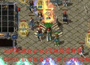 如何快速在sf666玉兔服提升等级与获取顶级装备?新手攻略全解析 如何快速在sf666玉兔服提升等级与获取顶级装备?新手攻略全解析