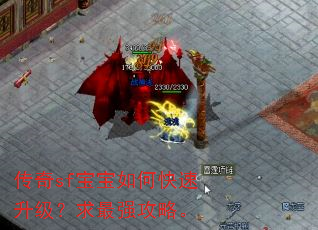 传奇sf宝宝如何快速升级?求最强攻略。 传奇sf宝宝如何快速升级?求最强攻略。