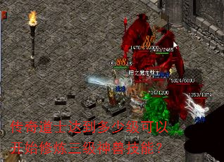 传奇道士达到多少级可以开始修炼三级神兽技能? 传奇道士达到多少级可以开始修炼三级神兽技能?