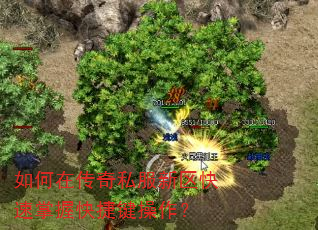 如何在传奇私服新区快速掌握快捷键操作? 如何在传奇私服新区快速掌握快捷键操作?