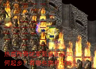 热血传奇SF零氪金玩家如何起步?有哪些实用攻略? 热血传奇SF零氪金玩家如何起步?有哪些实用攻略?