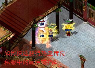 如何快速获得热血传奇私服中的麻痹戒指? 如何快速获得热血传奇私服中的麻痹戒指?