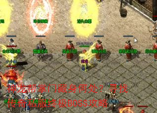 ���������Ų����δ���Ѱ�Ҵ���˽���ռ�BOSS����