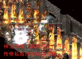 ���������Ų����δ���Ѱ�Ҵ���˽���ռ�BOSS����