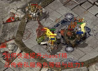 如何快速提升zhaosf精品传奇私服角色等级与战力? 如何快速提升zhaosf精品传奇私服角色等级与战力?