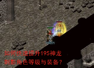 如何快速提升195神龙刺影角色等级与装备? 如何快速提升195神龙刺影角色等级与装备?