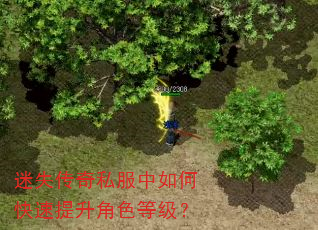 迷失传奇私服中如何快速提升角色等级? 迷失传奇私服中如何快速提升角色等级?