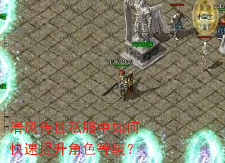 清风传世私服中如何快速提升角色等级? 清风传世私服中如何快速提升角色等级?