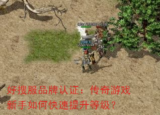好搜服品牌认证:传奇游戏新手如何快速提升等级? 好搜服品牌认证:传奇游戏新手如何快速提升等级?