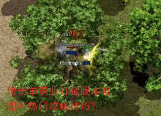 传奇单职业打金版本有哪些热门攻略技巧? 传奇单职业打金版本有哪些热门攻略技巧?
