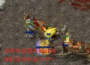 如何快速提升醉武侠单职业角色战斗力? 如何快速提升醉武侠单职业角色战斗力?